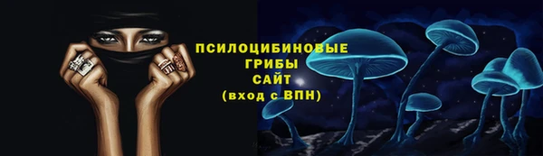 а пвп мука Дмитриев