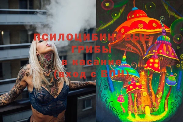 крисы Дмитровск