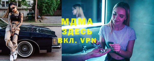 шишки Новодвинск